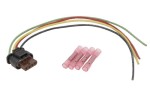 SENCOM 20772 / electrical wires (250mm, number of terminals: 4)