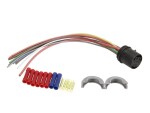 SENCOM 3061502 / electric wires for the rear door (200mm, number of terminals: 11, with electric windows, without cover, with plug, right/left) fits: opel zafira a 1.6-2.2d 04.99-06.05