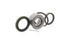 SKF Rattalaagrikomplekt VKBA 3940