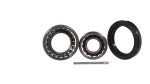 SKF Vertevo Rattalaagrikomplekt VKBA 505