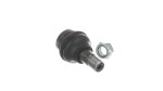 SKF Kande-/juhtliigend VKDS 318021