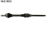 SKF Veovõll VKJC 8531