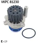 SKF  Veepump VKPC 81230