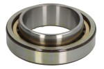 SLF SLF.CNUB1011M1.P63.F1 / 55x90x26, industrial bearing insulated, cylindrical (1pc, for driving motor)