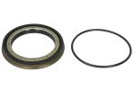 OE GIGANT GIG700000529 / wheel hub seal (x110 set, o-ring) fits: smb