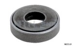 SNR Laager,  amorditugilaager M253.01