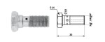 polt pidurivoolikule - 3/8X24 UNF/30/S14 / seibidega vask/