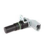 Stark Andur, väntvõll SKCPS-0360027