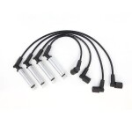 STARK süütejuhtmed / Süütesüsteemikomplekt SKIC-0030010