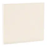 STARK Filter,  salongiõhk SKIF-0170028