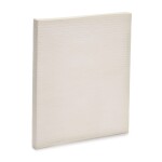 Stark  Filter,salongiõhk SKIF-0170106