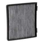Stark  Filter,salongiõhk SKIF-0170301