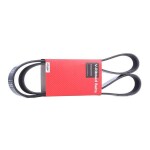 STARK Soonrihm SKPB-0090018