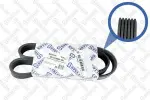 STELLOX Soonrihm 06-01000-SX