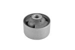 TEDGUM  Puks 00288849