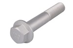 TEDGUM Kruvi TED38445