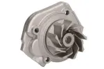 THERMOTEC Veepump,  mootori jahutus D1F076TT