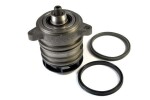 THERMOTEC  Veepump, mootori jahutus D1W041TT
