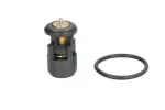 THERMOTEC Termostaat,  Jahutusvedelik D2A005TT