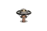 THERMOTEC Termostaat,  Jahutusvedelik D2C002TT