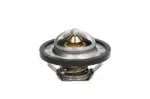THERMOTEC  Termostaat,Jahutusvedelik D2R001TT