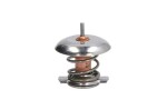 THERMOTEC Termostaat,  Jahutusvedelik D2V001TT