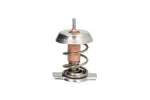 THERMOTEC Termostaat,  Jahutusvedelik D2X008TT