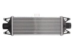 THERMOTEC turbo radiaator (intercooler) DAE001TT