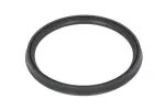 THERMOTEC Rõngastihend,  turbo õhu voolik DCB082TT