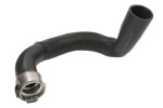 THERMOTEC turbo voolik (laadimisõhu) DCF163TT