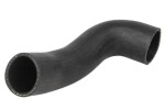 THERMOTEC turbo voolik (laadimisõhu) DCW248TT