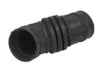 THERMOTEC Õhuvoolik,  õhuvarustus DCX163TT