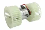 THERMOTEC  Salongipuhur 12V DDB002TT