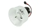 THERMOTEC Salongipuhur 12V DDB007TT