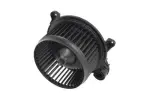 THERMOTEC Salongipuhur 12V DDG008TT