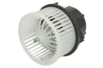 THERMOTEC Salongipuhur 12V DDV003TT