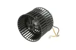 THERMOTEC  Elektrimootor,salongiventilaator 12V DDX011TT