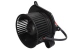 THERMOTEC Salongipuhur 12V DDY007TT