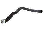 THERMOTEC Jahutusvedeliku voolik DWC102TT