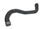 THERMOTEC Jahutusvedeliku voolik DWM116TT