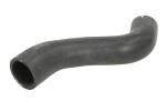 THERMOTEC Jahutusvedeliku voolik DWX037TT