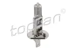 TOPRAN Hõõgpirn,  esituli 55W 12V H1 109 100