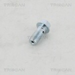 TRISCAN  Õõneskruvi 8105 3257