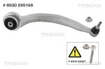 TRISCAN Õõtshoob,  käändmik 8500 295168
