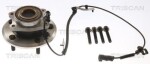 TRISCAN Rattalaagrikomplekt 8530 10288