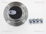 TRISCAN Rattalaagrikomplekt 8530 42217