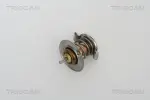 TRISCAN  Termostaat,Jahutusvedelik 8620 21891