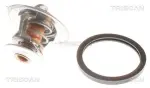 TRISCAN Termostaat,  Jahutusvedelik 8620 2291