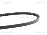 TRISCAN  Kiilrihmad 8640 101250