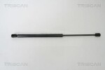 TRISCAN luugiamort,  pagasi-/veoruum 8710 29272